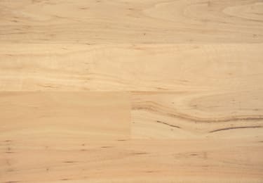 Australian Blackbutt 136